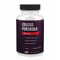  Protein Company Coleus Forskohlii 90 